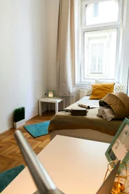Stanza privata in Budapest, Holló u. 1-2 em 28, 1075 Hungary, immagine 35 di 39