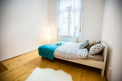 Stanza privata in Budapest, Csepreghy u. 4-em/16, 1085 Hungary, immagine 16 di 19