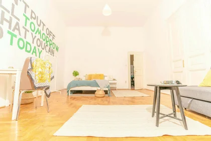 Private room at Budapest, Holló u. 1-em 19, 1075 Hungary, image 1 of 30