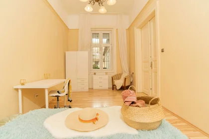 Private room at Budapest, Kazinczy u. 5-em/22, 1075 Hungary, image 2 of 27