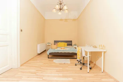Private room at Budapest, Kazinczy u. 5-em/22, 1075 Hungary, image 11 of 27