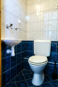 Stanza privata in Budapest, Holló u. 1-2 em 28, 1075 Hungary, immagine 28 di 34