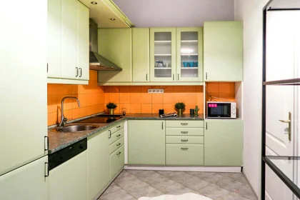 Stanza privata in Budapest, Holló u. 1-2 em 28, 1075 Hungary, immagine 13 di 36