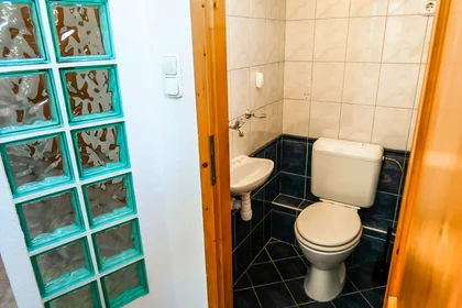 Stanza privata in Budapest, Holló u. 1-2 em 28, 1075 Hungary, immagine 27 di 36