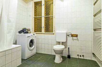 Quarto privado em Budapest, Teréz krt. 29-em/27, 1067 Hungary, imagem 14 de 16