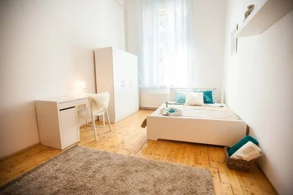 Stanza privata in Budapest, Csepreghy u. 4-em/16, 1085 Hungary, immagine 2 di 13