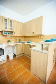 Stanza privata in Budapest, Csepreghy u. 4-em/16, 1085 Hungary, immagine 13 di 13