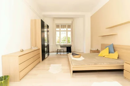 Stanza privata in Budapest, Nefelejcs u. 42-em /2, 1078 Hungary, immagine 6 di 28