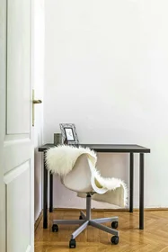 Quarto privado em Budapest, Teréz krt. 29-em/27, 1067 Hungary, imagem 12 de 16