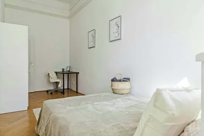 Quarto privado em Budapest, Teréz krt. 29-em/27, 1067 Hungary, imagem 15 de 16