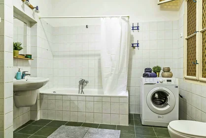 Quarto privado em Budapest, Teréz krt. 29-em/27, 1067 Hungary, imagem 9 de 16