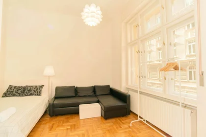Prywatny pokój Budapest, Balzac u. 8-em 3a, 1136 Hungary, obraz 1 31