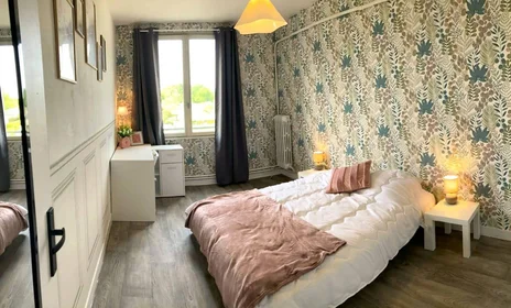 Privatzimmer in der Tours, 37200, bild 18 von 29