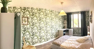 Privatzimmer in der Tours, 37200, bild 23 von 29