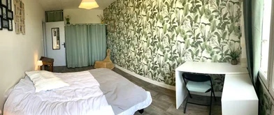 Stanza privata in Tours, 37200, immagine 24 di 29