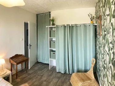 Privatzimmer in der Tours, 37200, bild 25 von 29