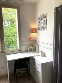 Stanza privata in Tours, 37200, immagine 27 di 29