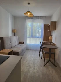 Private room at La rochelle, 17000, image 1 of 10