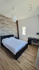 Prywatny pokój Tours, 37000, obraz 1 10