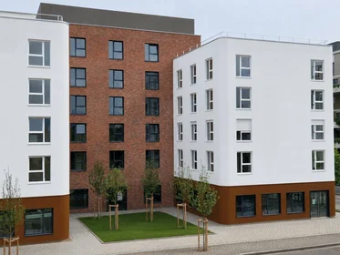 Chambre privée en résidence à Mulhouse, 68100, image 13 de 26