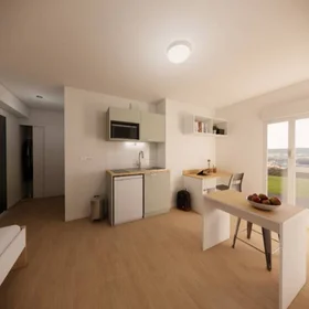 Chambre privée en résidence à Mulhouse, 68100, image 16 de 26