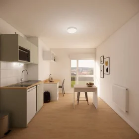 Chambre privée en résidence à Mulhouse, 68100, image 17 de 26