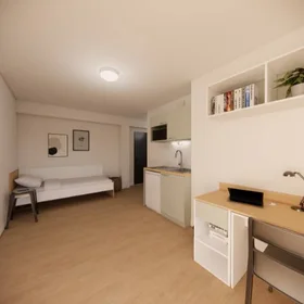 Chambre privée en résidence à Mulhouse, 68100, image 21 de 26