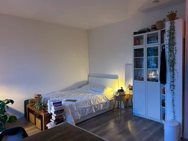 Stanza privata in Weteringkade, immagine 6 di 10