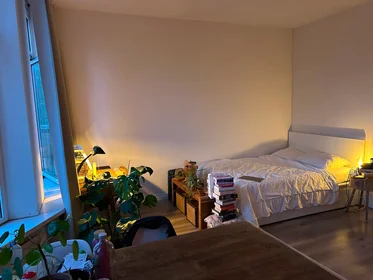 Stanza privata in Weteringkade, immagine 8 di 10