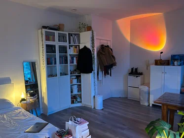 Stanza privata in Weteringkade, immagine 9 di 10