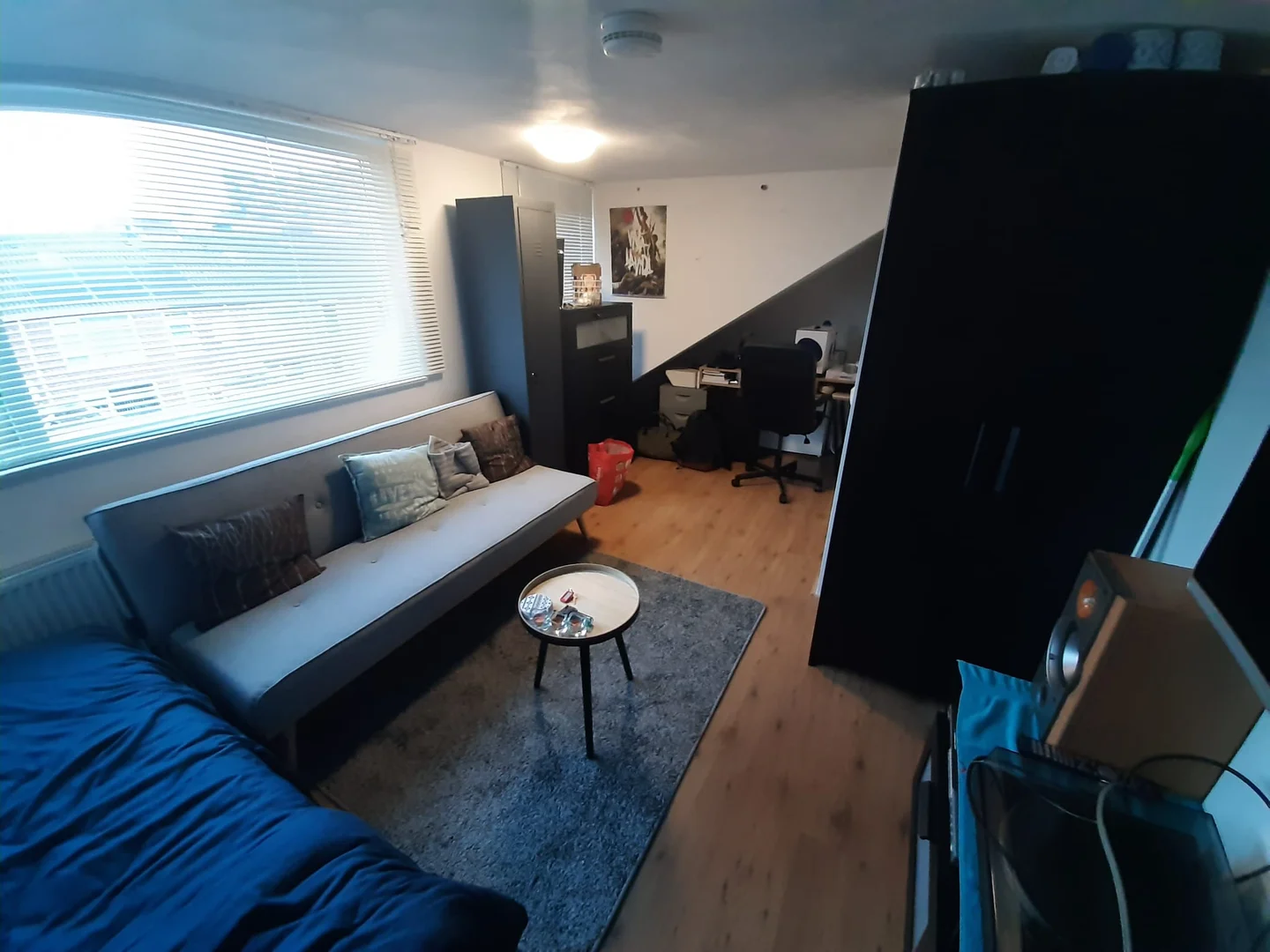 Affordable room for students with ample lighting in 