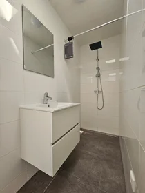 Chambre privée à Friesestraatweg, image 4 de 8