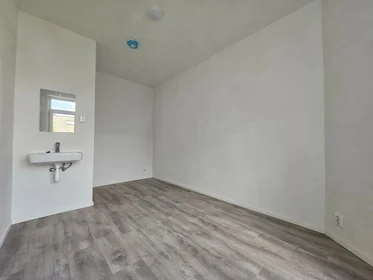 Chambre privée à Friesestraatweg, image 8 de 8