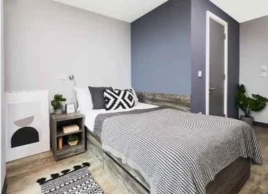 Stanza privata in Surrey Street, immagine 1 di 49
