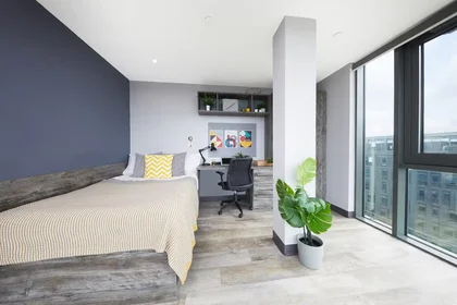 Stanza privata in Surrey Street, immagine 7 di 49