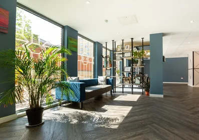 Stanza privata in Surrey Street, immagine 23 di 49