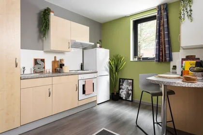 Private room in residence at 23 Berry St, Manchester M1 2AD, United Kingdom                , image 19 of 33