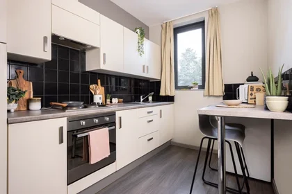 Private room in residence at 23 Berry St, Manchester M1 2AD, United Kingdom                , image 31 of 33