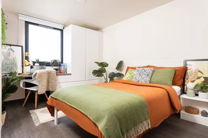 Habitación privada en residencia en 130 Scotland St, Sheffield S3 7DD, United Kingdom, imagen 14 de 24