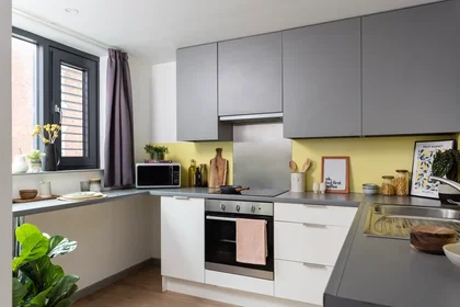 Habitación privada en residencia en 130 Scotland St, Sheffield S3 7DD, United Kingdom, imagen 18 de 24