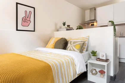 Habitación privada en residencia en 130 Scotland St, Sheffield S3 7DD, United Kingdom, imagen 19 de 24