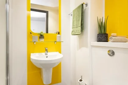 Habitación privada en residencia en 130 Scotland St, Sheffield S3 7DD, United Kingdom, imagen 3 de 24