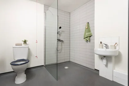 Habitación privada en residencia en 130 Scotland St, Sheffield S3 7DD, United Kingdom, imagen 24 de 24