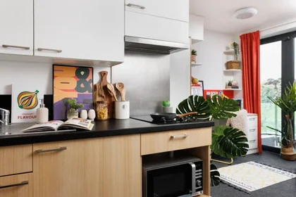 Estudio en residencia en 1-112 Green Ln, Durham DH1 3US, United Kingdom             , imagen 13 de 22