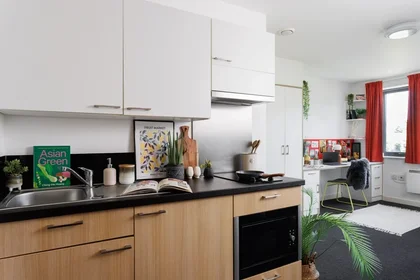 Estudio en residencia en 1-112 Green Ln, Durham DH1 3US, United Kingdom             , imagen 15 de 22