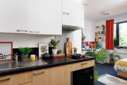 Estudio en residencia en 1-112 Green Ln, Durham DH1 3US, United Kingdom             , imagen 18 de 22