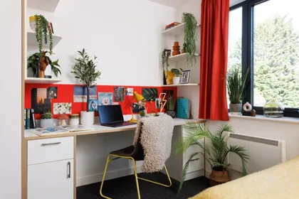 Estudio en residencia en 1-112 Green Ln, Durham DH1 3US, United Kingdom             , imagen 20 de 22