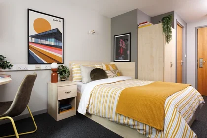 Özel oda Ikamet yerinde konumu Skelhorne St, Liverpool L3 5GA, United Kingdom, 11 22 görüntüsü