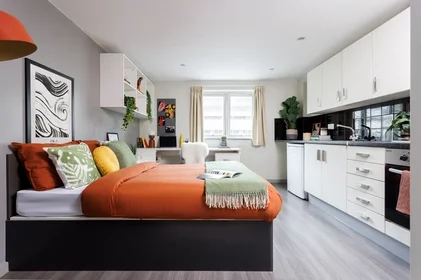 Özel oda Ikamet yerinde konumu Skelhorne St, Liverpool L3 5GA, United Kingdom, 4 22 görüntüsü