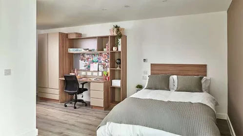 Özel oda Ikamet yerinde konumu Howard Gardens, Cardiff CF24 0FA, United Kingdom, 2 22 görüntüsü